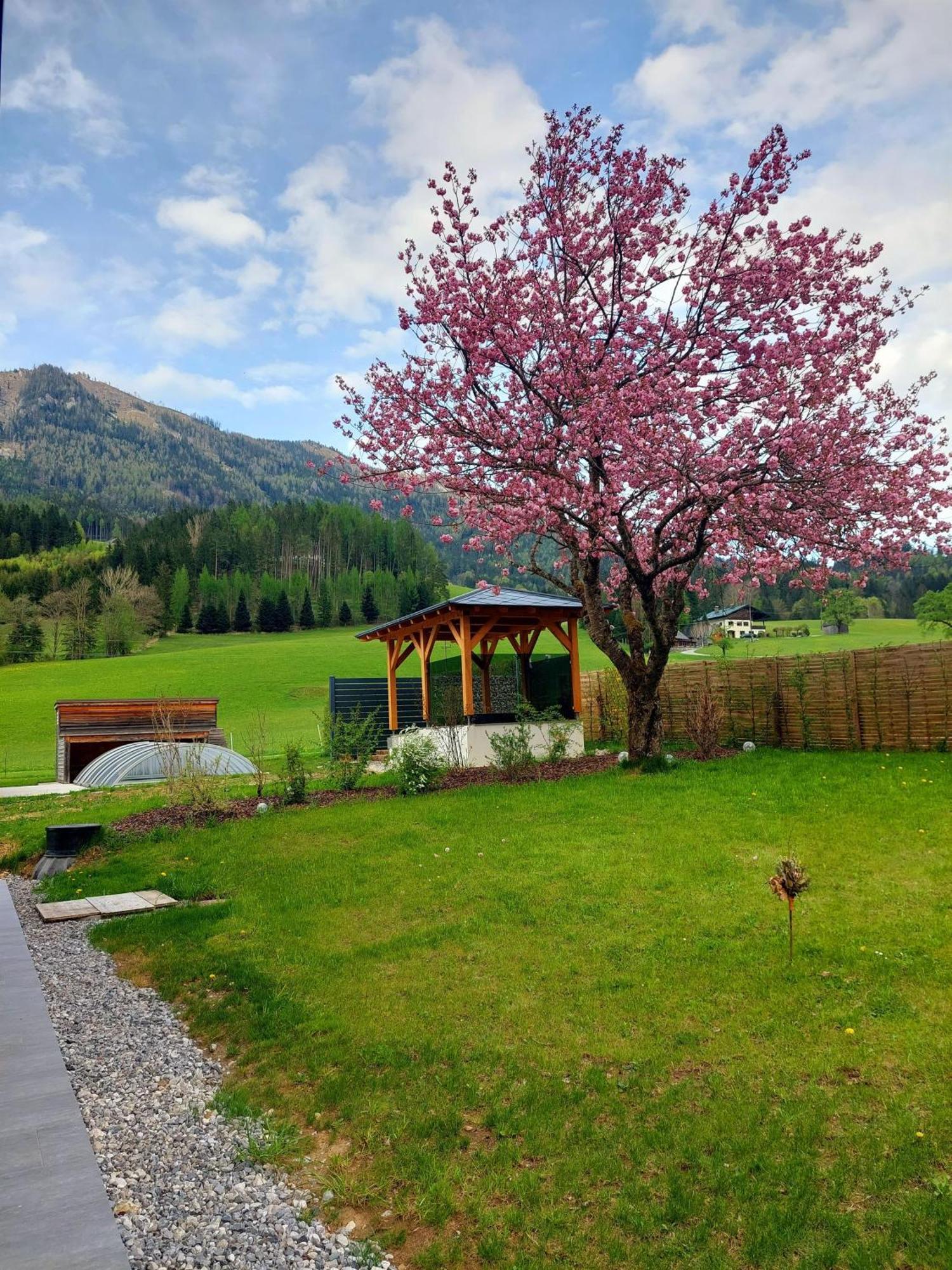 Hofpower'S Mountain Feeling Apartamento Hinterstoder Exterior foto